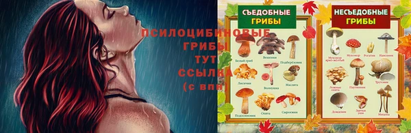 мдпв Беломорск