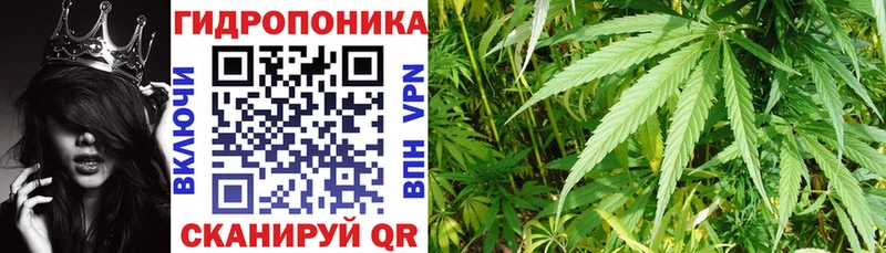 Бошки марихуана VHQ  что такое наркотик  Уссурийск 